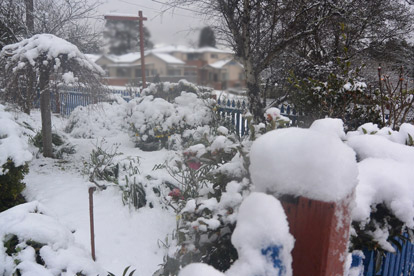 Coomonderry garden