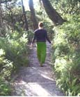 prince henry cliff walk